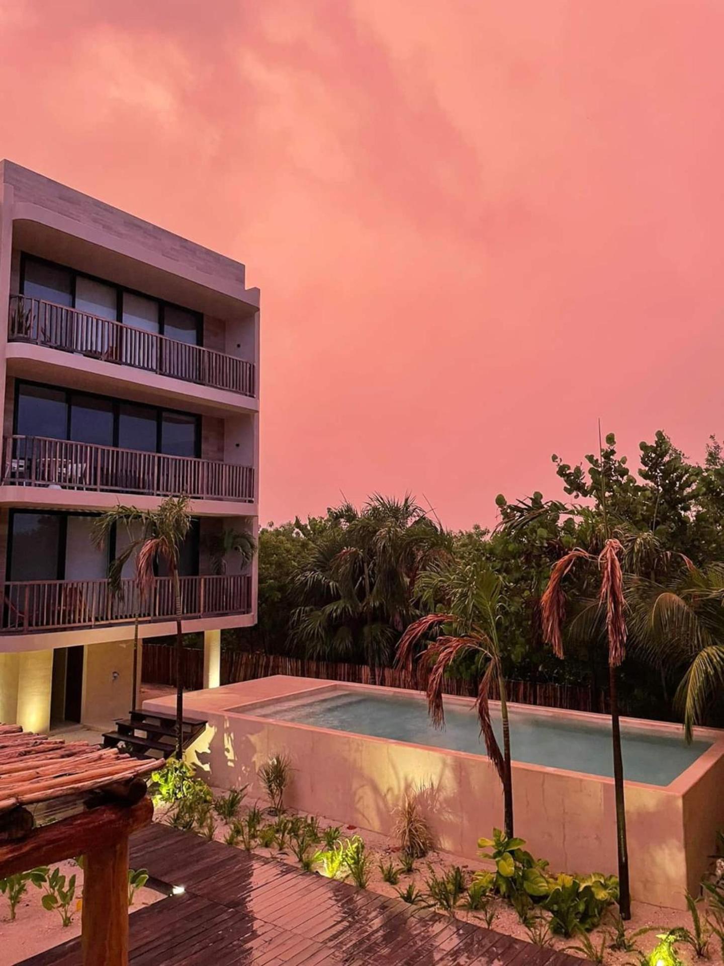 Hotel Ocean View Loft In Punta Cocos - C102 Isla Holbox Exterior foto