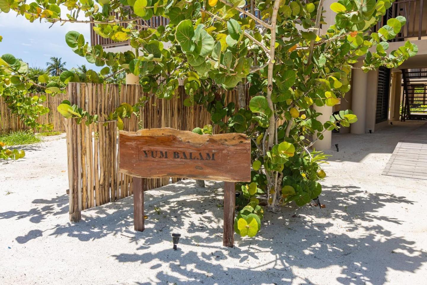 Hotel Ocean View Loft In Punta Cocos - C102 Isla Holbox Exterior foto